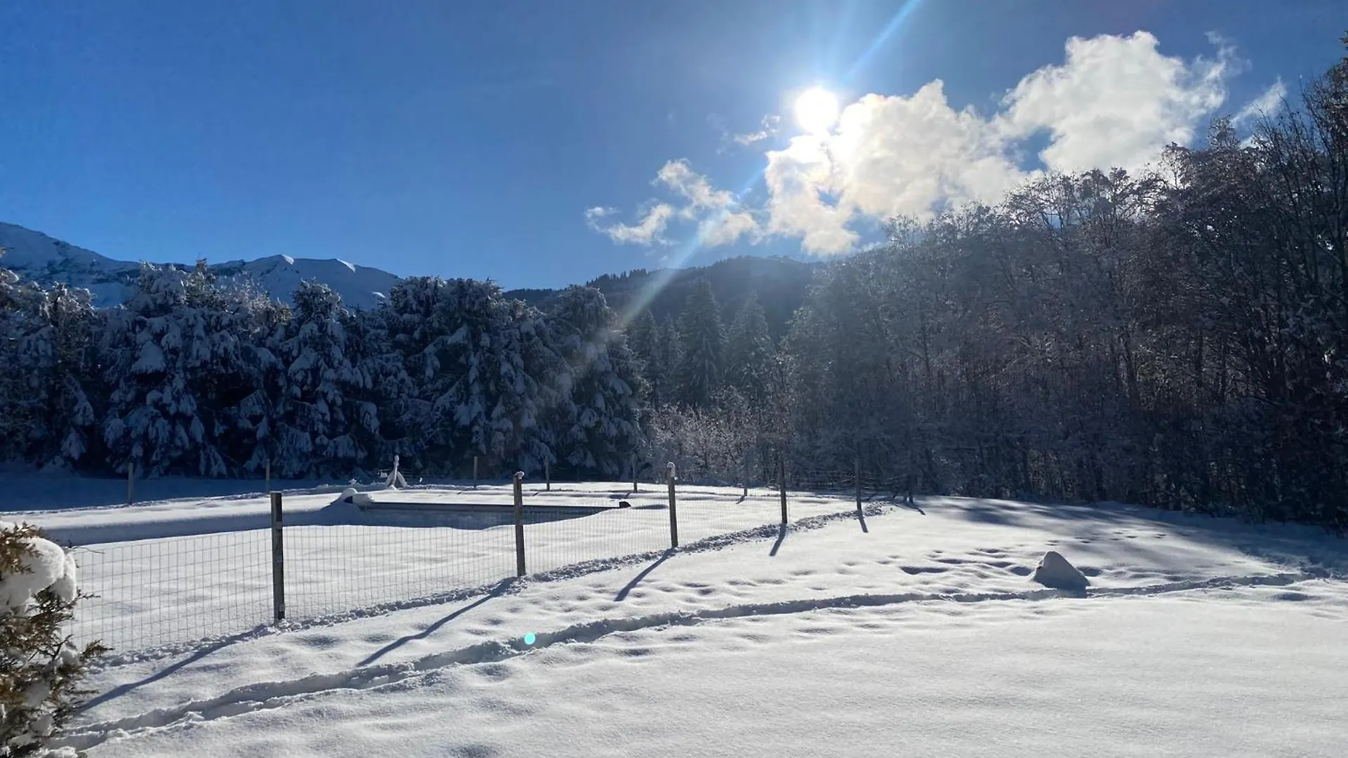 Grand Studio A 300M Du Pied Des Pistes, kontakter